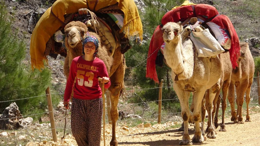 Son konargöçerler Konya'ya geliyor 9